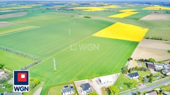 Grunt budowlany jednorodzinny na  sprzedaż Tarnowo Podgórne - Teren inwestycyjny (5 działek), objęty MPZP, Tarnowo Podgórne.